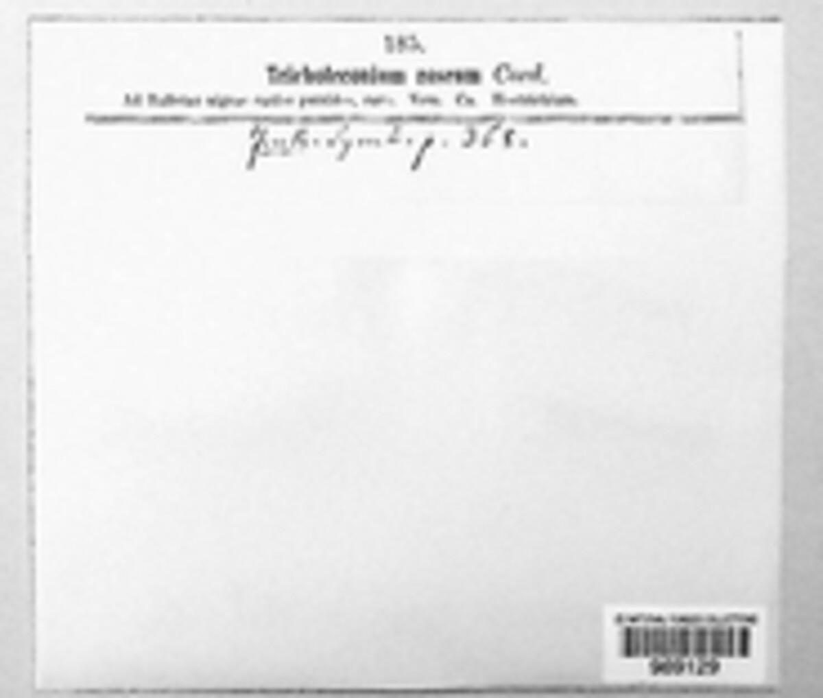 Sarcopodium image